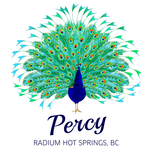 Sticker - Percy the Peacock